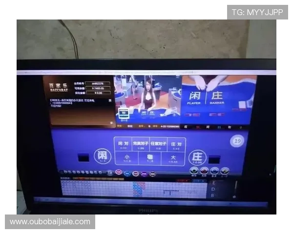 亚星yaxin868百家乐高胜率策略分享，助你在百家乐中稳步提升盈利水平