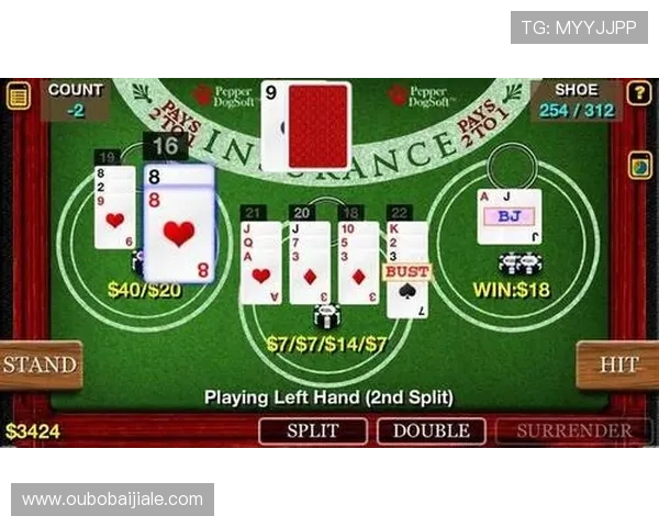 最新百家乐下载手机版平台推荐，安全稳定玩法多样，满足不同玩家的娱乐和赢钱需求