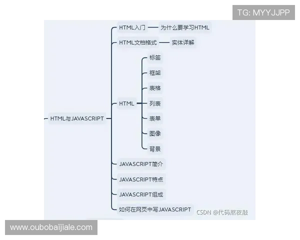 如何根据bg大游真人登录线路图选择最优登录线路保障游戏安全与稳定的实用建议