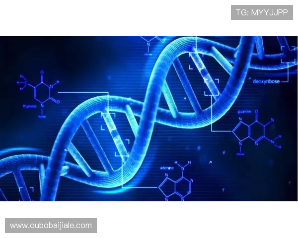 AG视讯智能体的安全性与稳定性保障措施确保游戏环境的公平公正