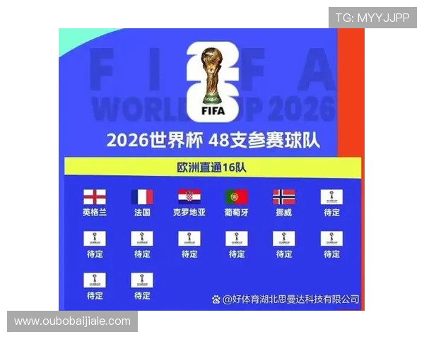 世界杯挪威对阵法国中场对抗分析：关键球员表现与战术布局详解